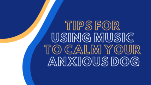 Tips for Using Music to Calm Your Anxious Dog