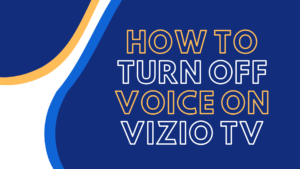 how to turn off voice on vizio tv
