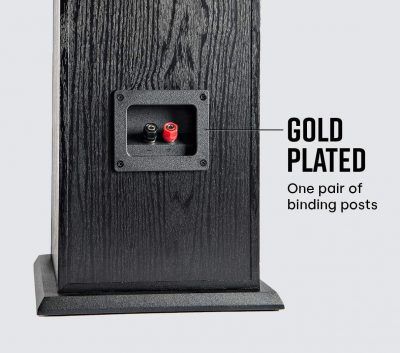 Polk Audio T50 Gold Plated Binding Post