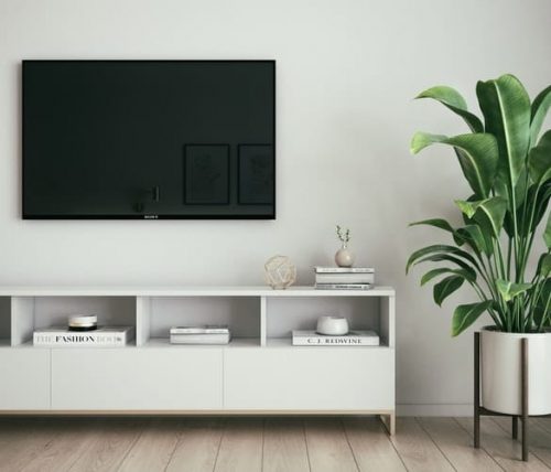 TV with a plant on the side
